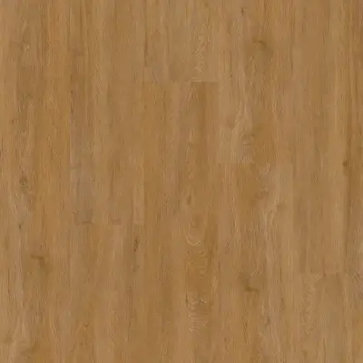 Therdex Dryback 2540