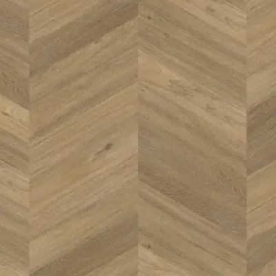 Therdex Dryback 6544