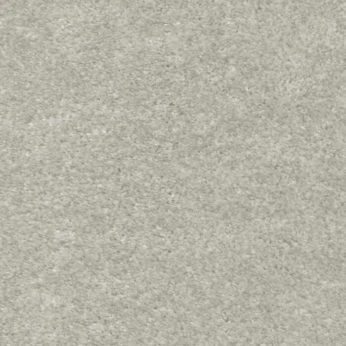 iSENSE Obsession-39 Gazelle