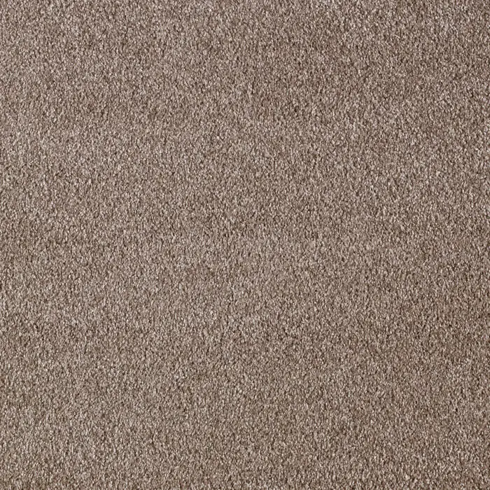 iSENSE Serenity-44 Havana