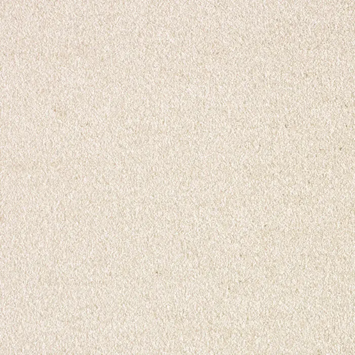 iSENSE Splendour-33 Latte