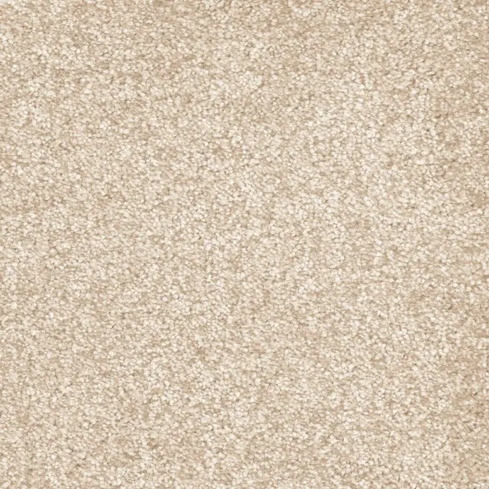 iSENSE Splendour-34 Camel