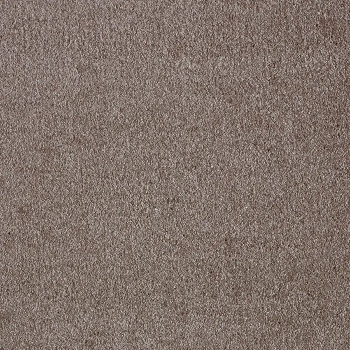 iSENSE Splendour-44 Soft Stone