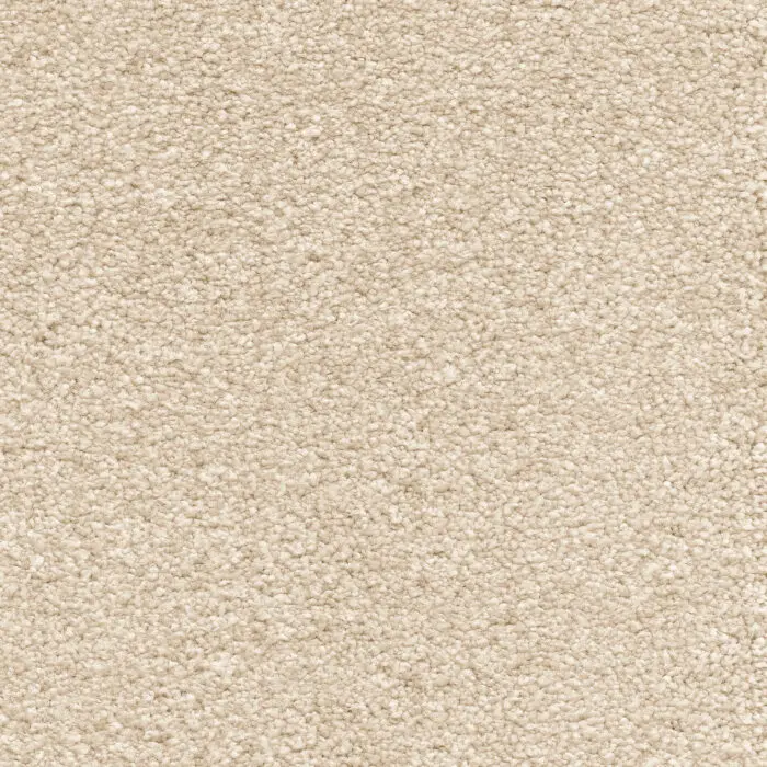 iSENSE Suspense-36 Orchid