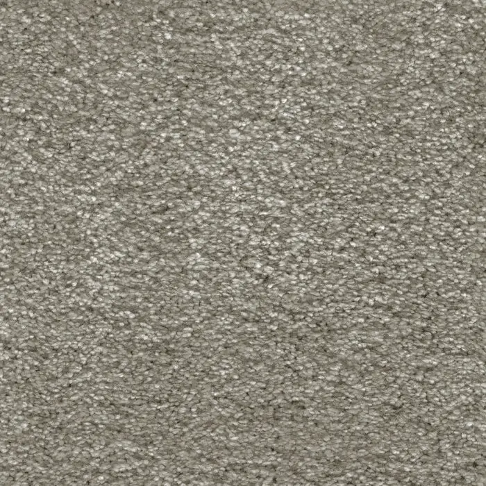 iSENSE Serenity-46 Silt