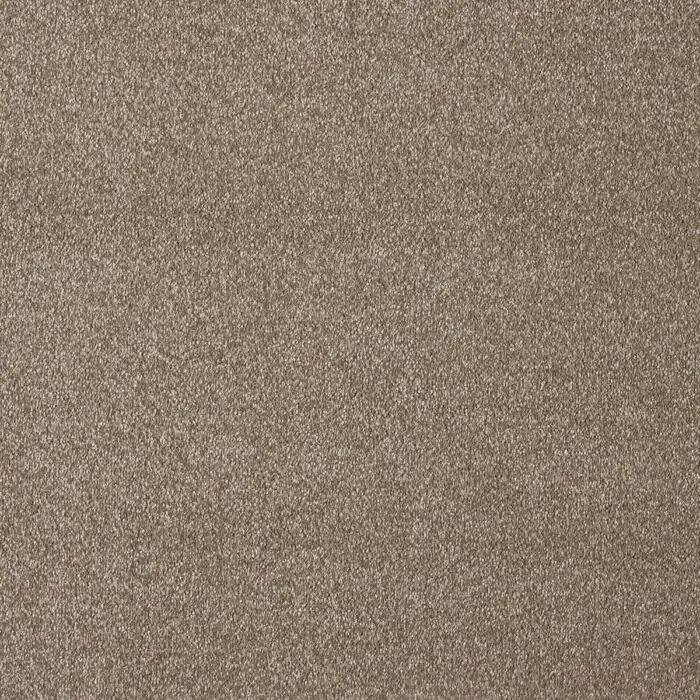 iSENSE Subtlety-47 Moleskin