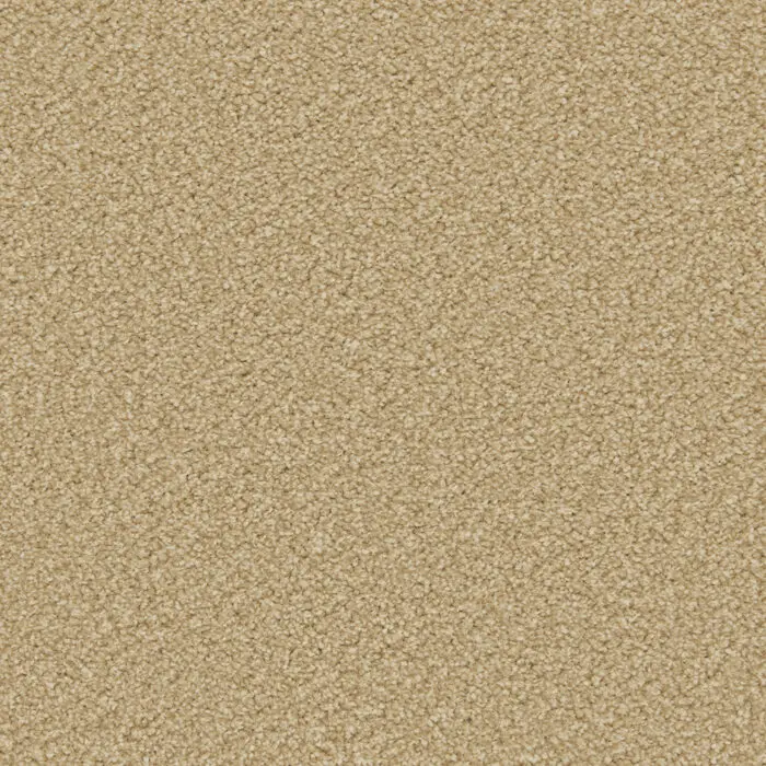 Cormar Apollo Plus Caramel