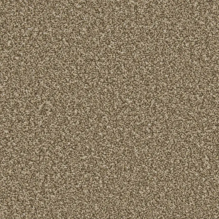 Cormar Apollo Plus Cork Oak