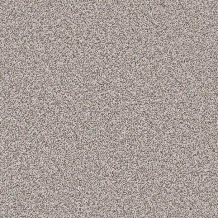 Cormar Apollo Plus Meteorite