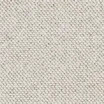 Brockway Beachcomber Seashell - BCM 20147