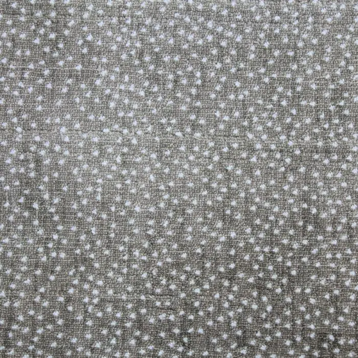 Academy Teatro Bronze