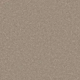 Cormar Sensation Ammonite