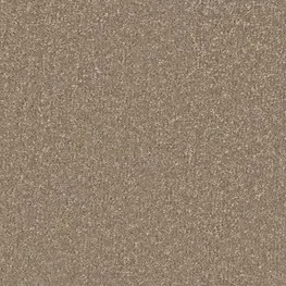 Cormar Sensation Light Taupe