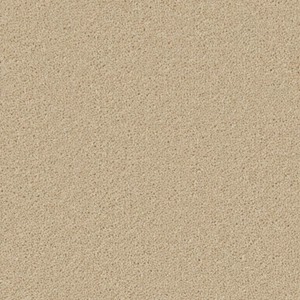 Cormar Hampstead Fossil