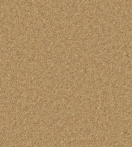 Cormar Hampstead Maize